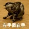 免息配资 股票分红是什么意思? 股票10派3元赚了还是亏了?