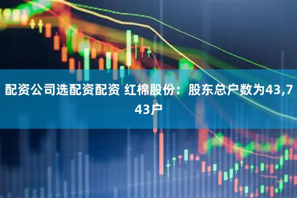 配资公司选配资配资 红棉股份：股东总户数为43,743户