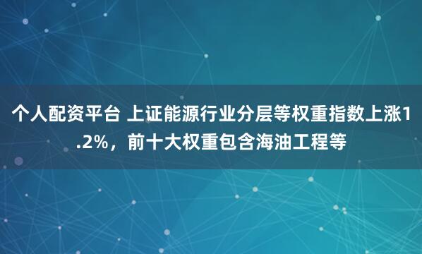 个人配资平台 上证能源行业分层等权重指数上涨1.2%，前十大权重包含海油工程等